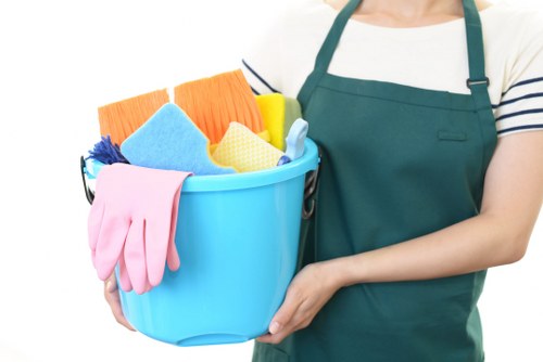 Local cleaner providing domestic cleaning in Barnes