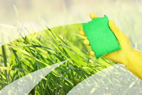 Professional oven cleaning in Barnes with detailed kitchen appliance care