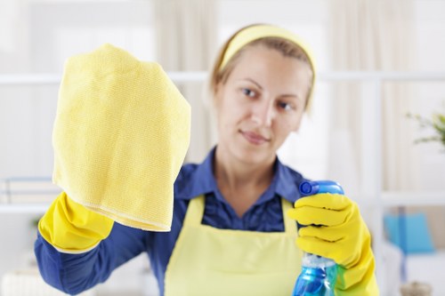 Professional home cleaner in Barnes working in a bright living room