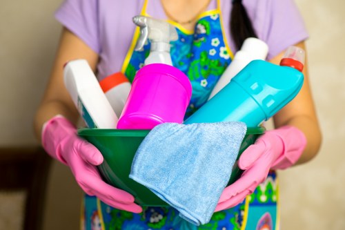 Professional carpet cleaning for a Barnes home interior