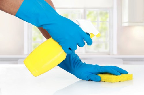 Professional oven cleaning service in Barnes for local homes and flats