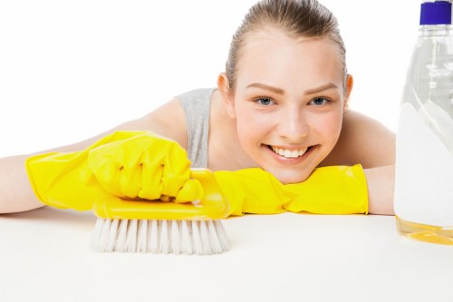 Local Barnes oven cleaning service for homes, flats, and businesses