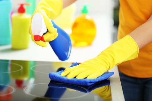 Deep cleaning a sofa in a Barnes living room