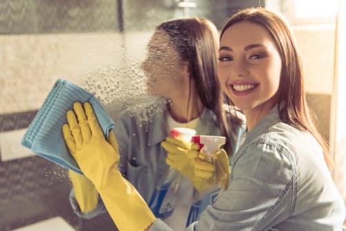 Safe handling and inspection during oven cleaning