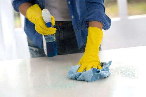 Checklist and cleaning preparation for a Barnes home visit